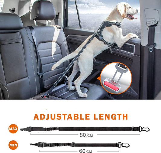 Anti Shock Pet Dog Car Seat Belt Clip ISOFIX Bungee Lead, Boot or Seat Fit